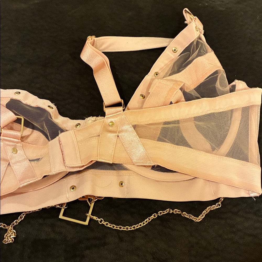 NEW Honey Birdette 40F Pink INDRIA SEXY Lingerie Set bra, garter, panties SET - Picture 6 of 9